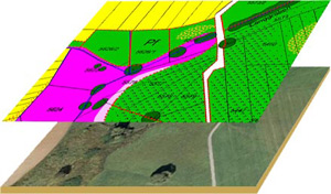 Kartierung und digitale Kartografie